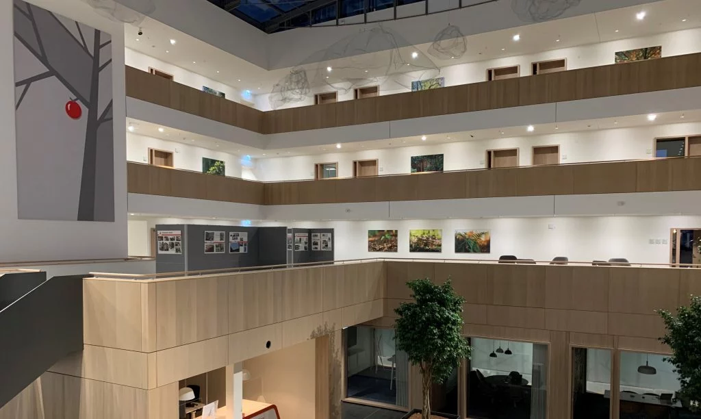 Lichtdurchflutetes Atrium mit Holzverkleidung und Kunstwerken – Referenzprojekt Büroausbau Sparkasse Essen, W. Buers GmbH